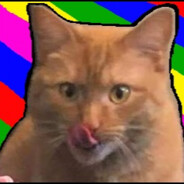 TWC_Meowzer