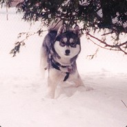 LMS MezballSr