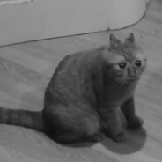 ``Extie
