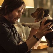JOHN WICK