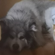 梦馨缘