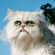 [Z] PBKVA26