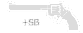 MR 73 Snubnose
