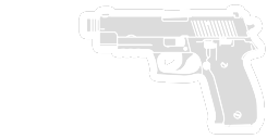 P226